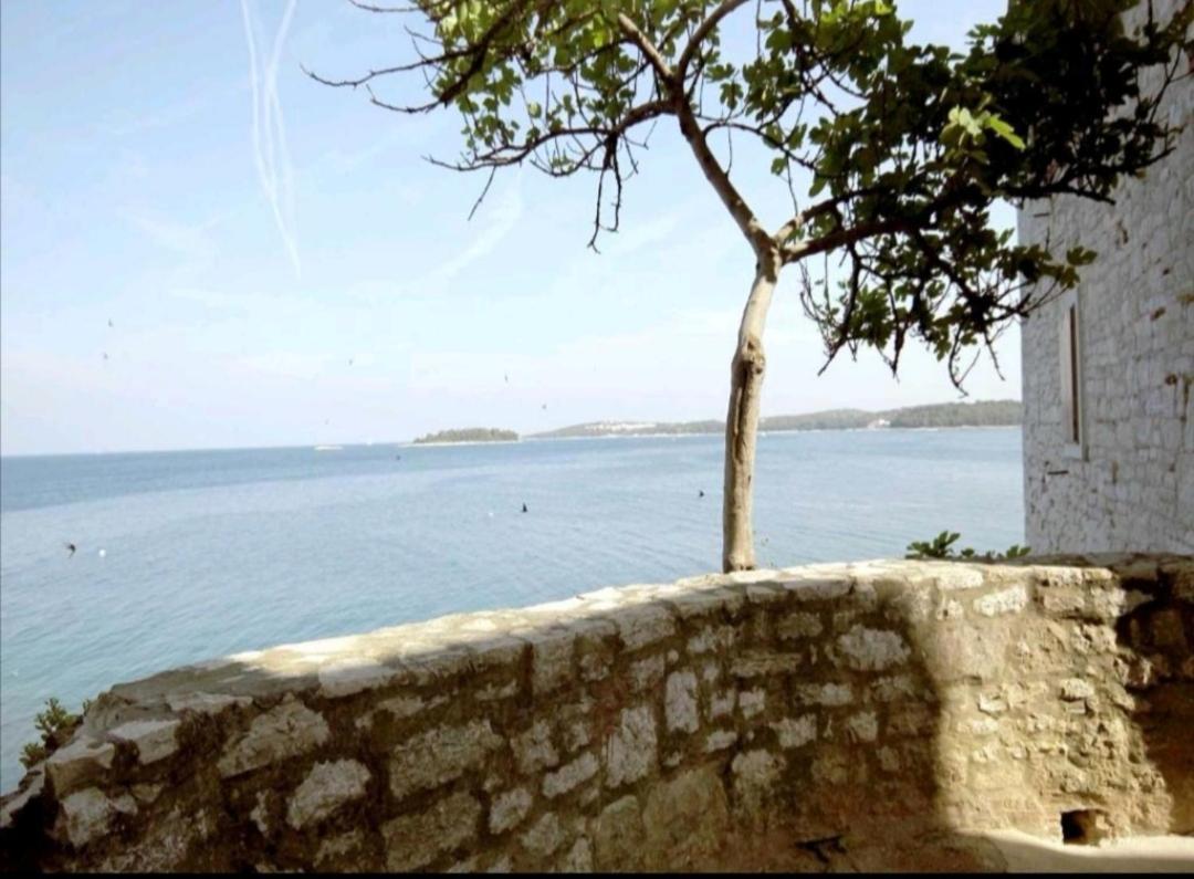 Apartment Martin - 10 Mt To The Beach Rovinj Zewnętrze zdjęcie