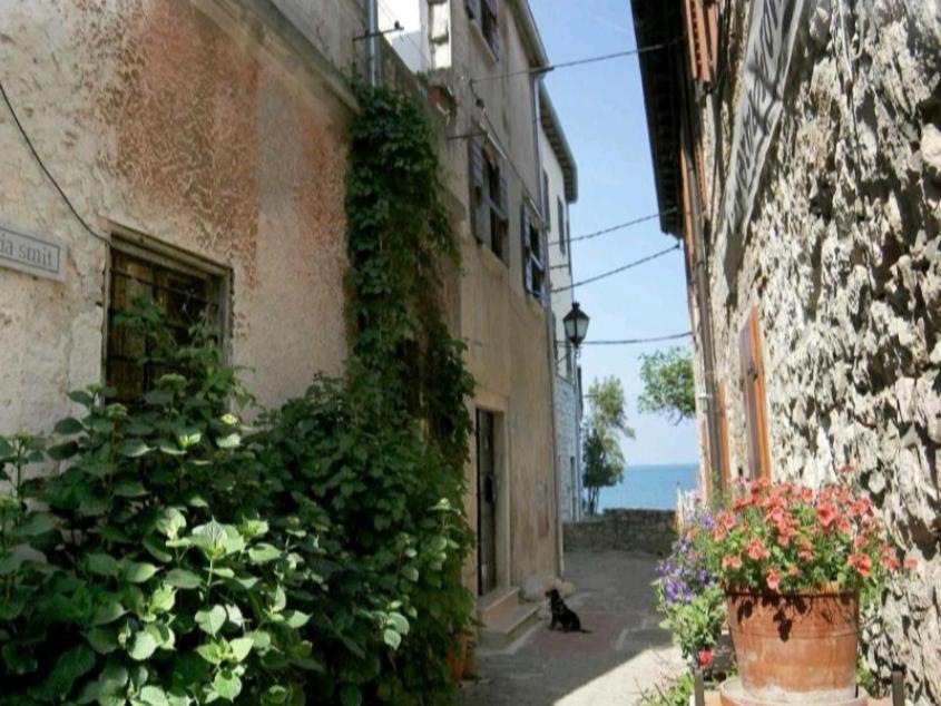 Apartment Martin - 10 Mt To The Beach Rovinj Zewnętrze zdjęcie